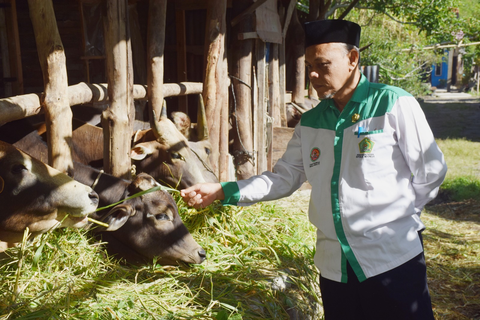 Sambut Iduladha 1447 H, Kakankemenag Bener Meriah Tinjau Hewan Kurban ASN