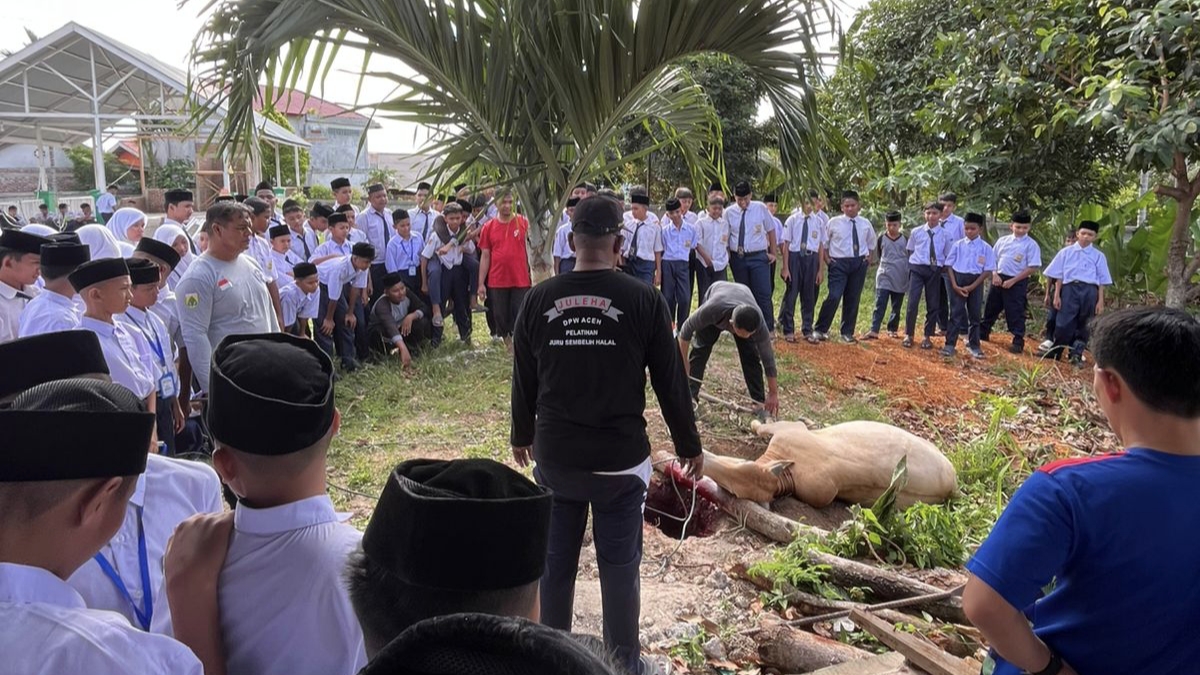 Matamuda MTsN Sabang Hadirkan Praktik Fikih Penyembelihan Hewan