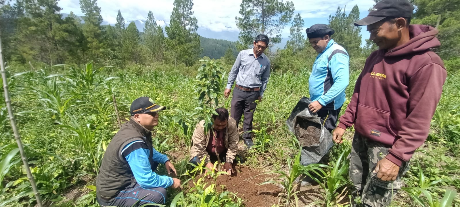 Optimalkan Aset, Kemenag Gayo Lues Tanam 200 Alpukat dan 60 Durian di Tanah Wakaf