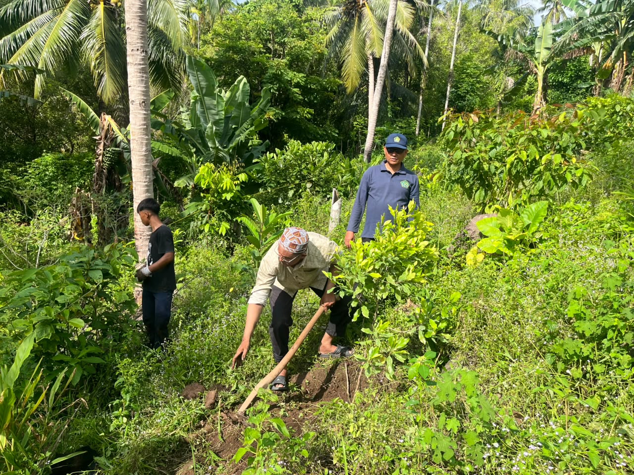 Kemenag Sabang Lanjutkan Penanaman Wakaf Pohon Cengkih di Paya Seunara
