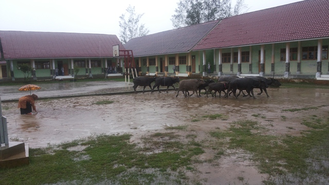 Segera, MAN Singkil Butuh Pagar