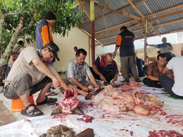 Tahun ini, Kemenag Aceh Barat Sembelih 20 Hewan Kurban