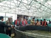 Kakanwil Apresiasi Wirausaha Santri Darul Amin, Wujud Kemandirian Dayah